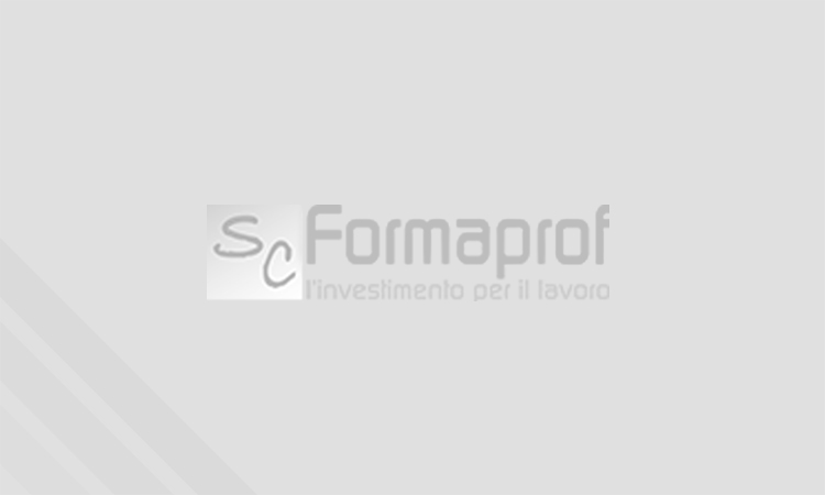 FORMAZIONE FINANZIATA - DOTE APPRENDISTATO